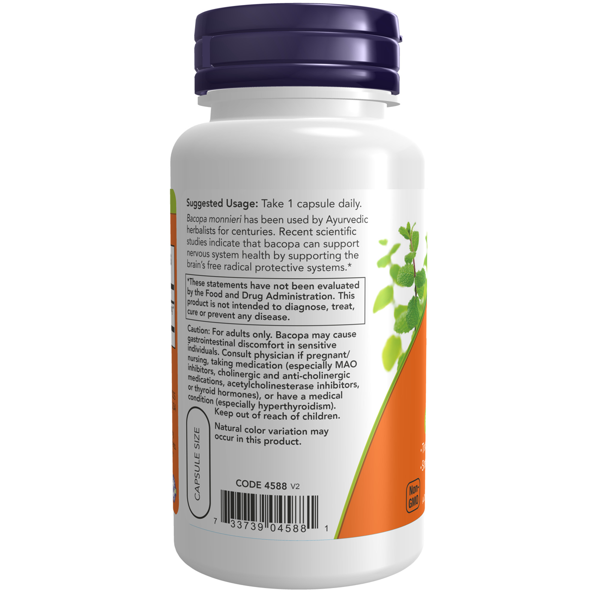 Bacopa Extract 450mg 90VC - Image 2